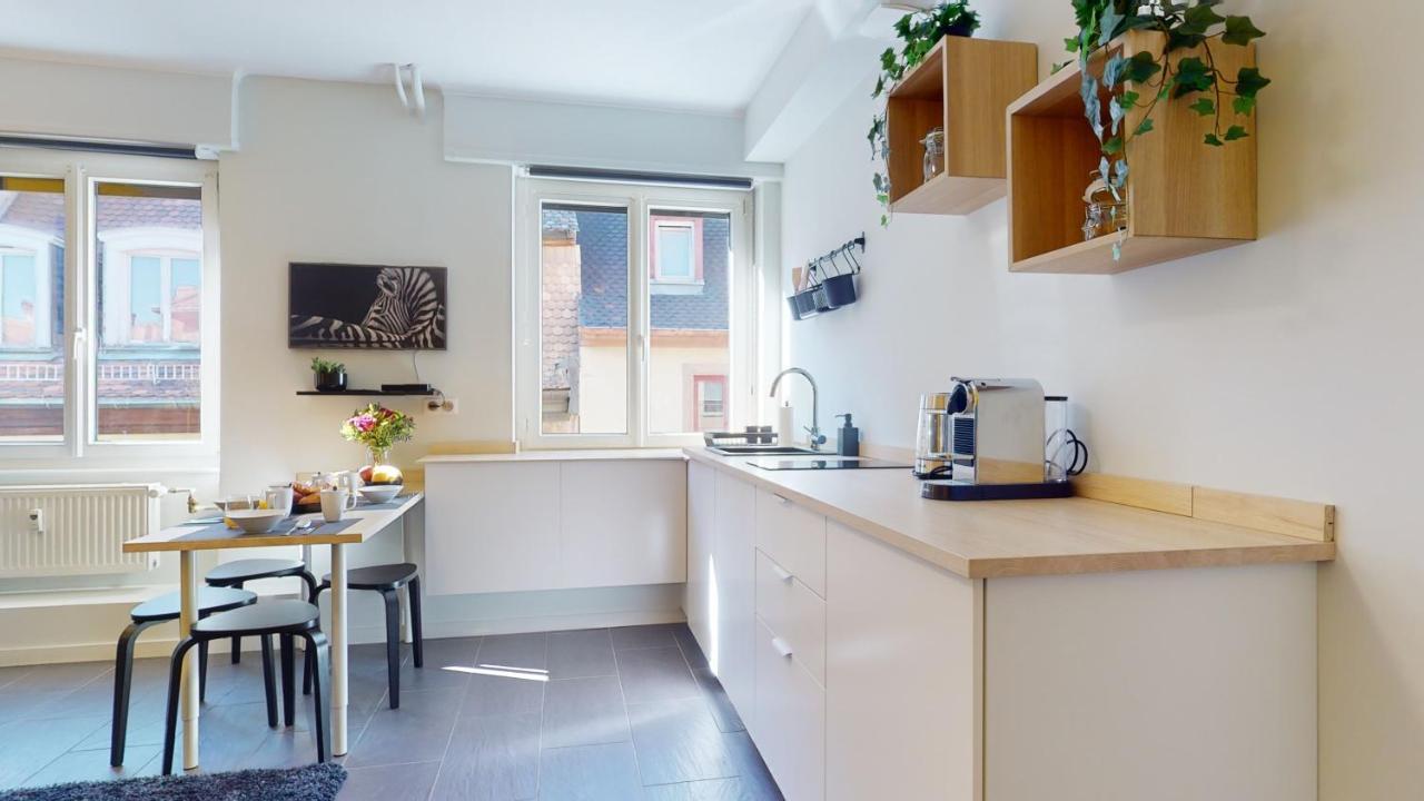 Suite Privative 43M2 - Les Tailleurs A 120M De La Cathedrale 斯特拉斯堡 外观 照片